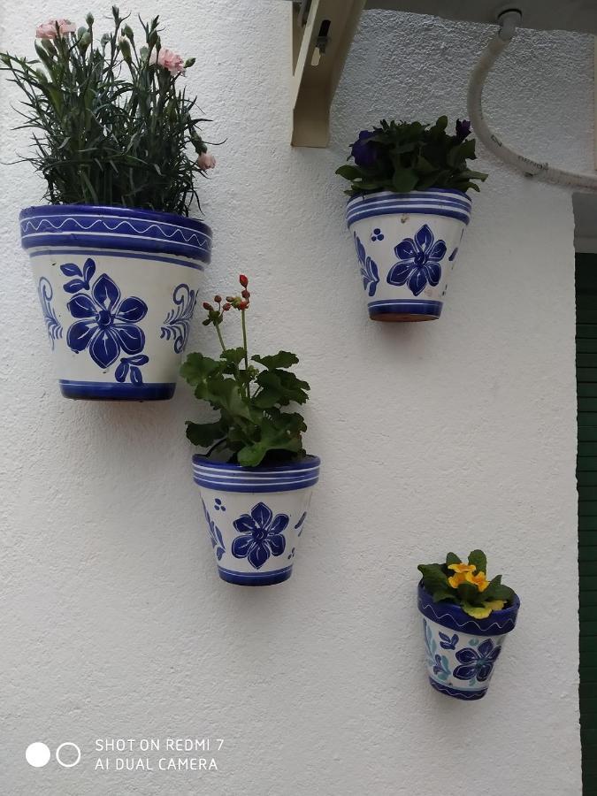 Culturas Y Colores En -wifi Alta Velocidad, Netflix, Parking -promocion Empresas- Apartment Almagro