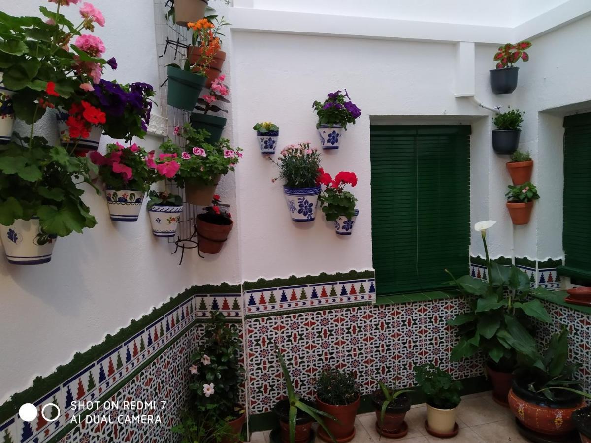 Apartment Culturas Y Colores En -wifi Alta Velocidad, Netflix, Parking -promocion Empresas- Almagro